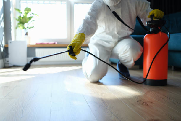 Trusted Sewage Cleanup service in South Charleston, OH - Four Month Blood Cleanse